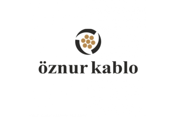 Sakarya Endüstriyel Elektrik alanında BKV ENERJİ Taahhüt Elektrik Malz. Paz. ve Tic. Ltd. Şti. unvanını alarak, odaklanmış bir yapı ile karşınıza çıkı